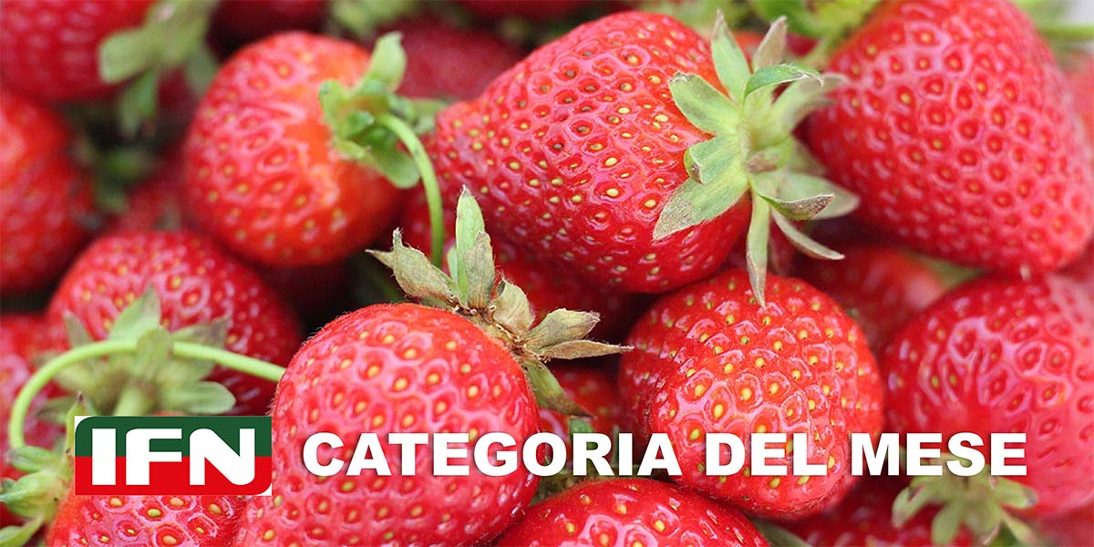 Boom per i prezzi delle fragole, ma è allerta consumi